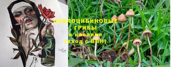 мдма Иноземцево