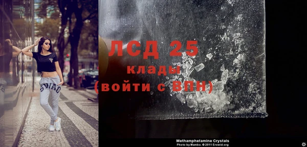 ECSTASY Алзамай