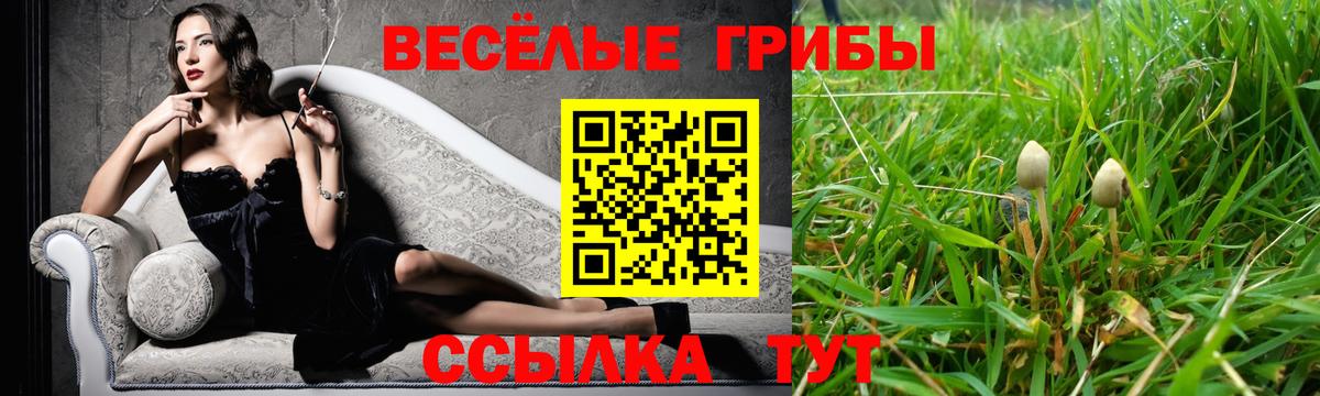 Псилоцибиновые грибы Psilocybe Жуковский