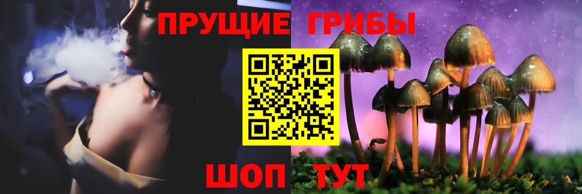 Жуковский  Псилоцибиновые грибы Cubensis  Вход с VPN 